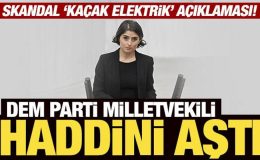 DEM Parti Milletvekili haddini aştı: Skandal ‘kaçak elektrik’ açıklaması!