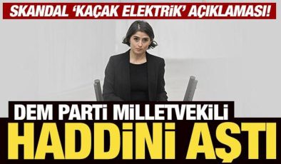 DEM Parti Milletvekili haddini aştı: Skandal ‘kaçak elektrik’ açıklaması!