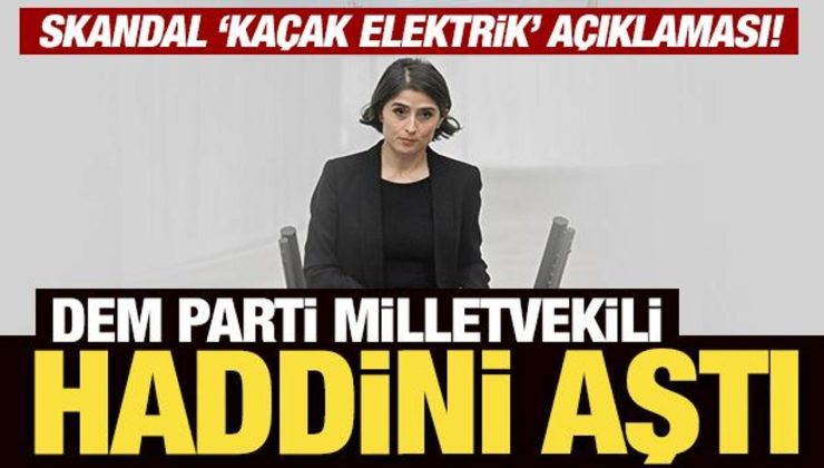 DEM Parti Milletvekili haddini aştı: Skandal ‘kaçak elektrik’ açıklaması!