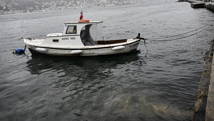 İstanbul’un göbeğinde iğrenç görüntü! Çevre sakinleri isyan etti: Leş gibi kokuyor