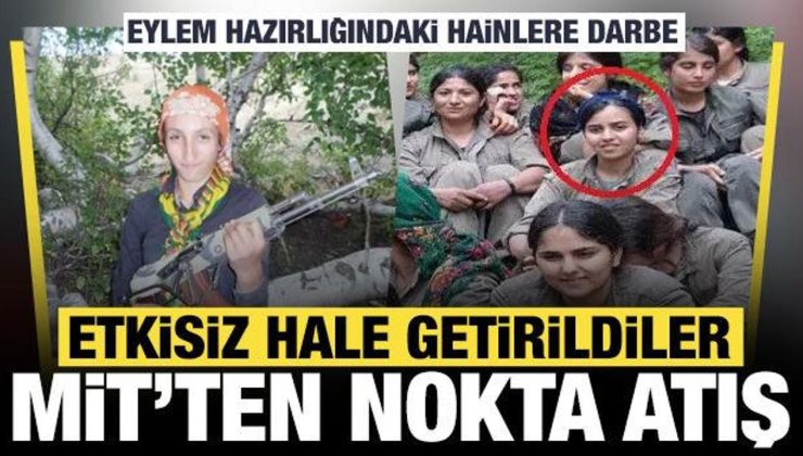 MİT, Zeynep Aslan ve Zeliha Mahçup’u etkisiz hale getirdi